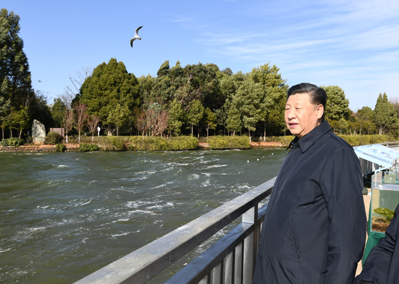 2020年1月20日下午，習(xí)近平總書記在云南昆明滇池星海半島生態(tài)濕地考察調(diào)研。
